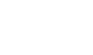 Vena Logo Icon